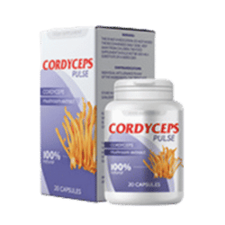 Cordyceps Pulse na slovensku